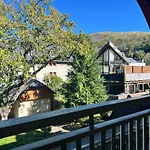 Sejour Inclus Au Centre De St Lary *